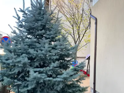 inchiriere apartament Popești Leordeni Ilfov zona verde strada